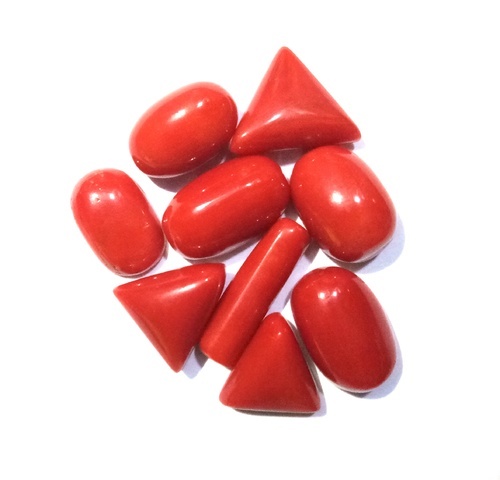 Red Coral (मूंगा)